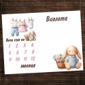 Платно за снимане на бебе месечинка 03