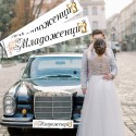 Сватбени стикери за автомобилни номера 06